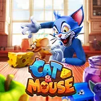 Cat & Mouse game cover
